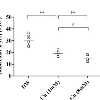 The Dot Plots Of The Total Number Of Purkinje Cells A Glial Cells