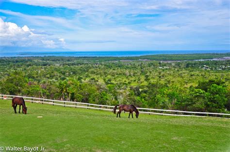 Mitra S Ranch Palawan Walter Bayot Jr Flickr