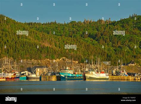 Fishing Village In La Scie Harbour Off The Atlantic Ocean Baie Verte