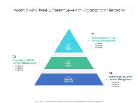 Pyramid With Three Different Levels Of Organization Hierarchy