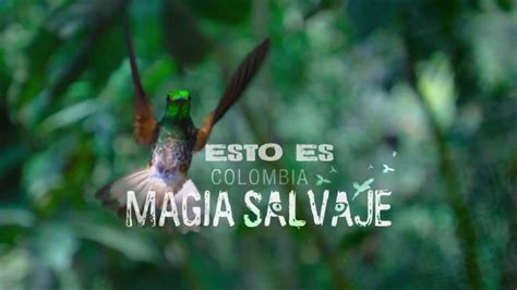 Colombia Magia Salvaje 2015 Netflix Mp4 960x540 Identi