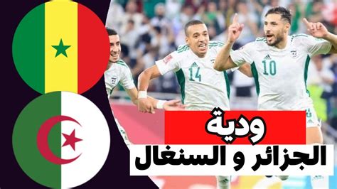 توقيت و موعد مباراة الجزائر ضد السنغال الودية إستعدادا لكأس أمم أفريقيا