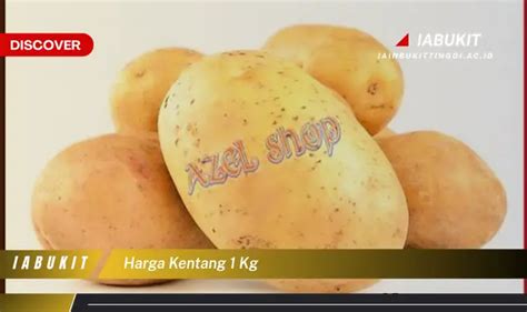 Ketahui Harga Kentang 1 Kg Yang Wajib Kamu Intip