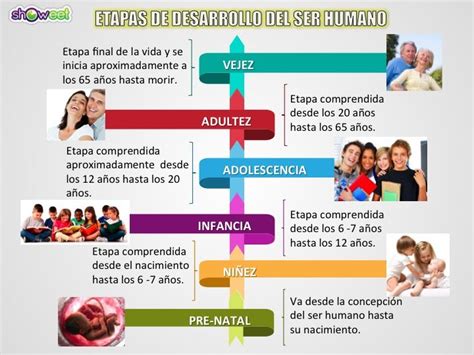 Infografía Etapas Desarrollo Cognitivo Niños Desarrollo Cognitivo