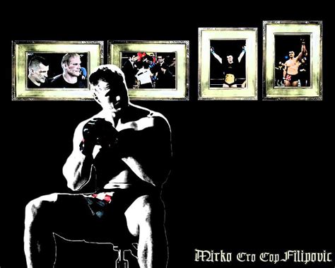 Mirko Cro Cop HD Wallpaper Pxfuel