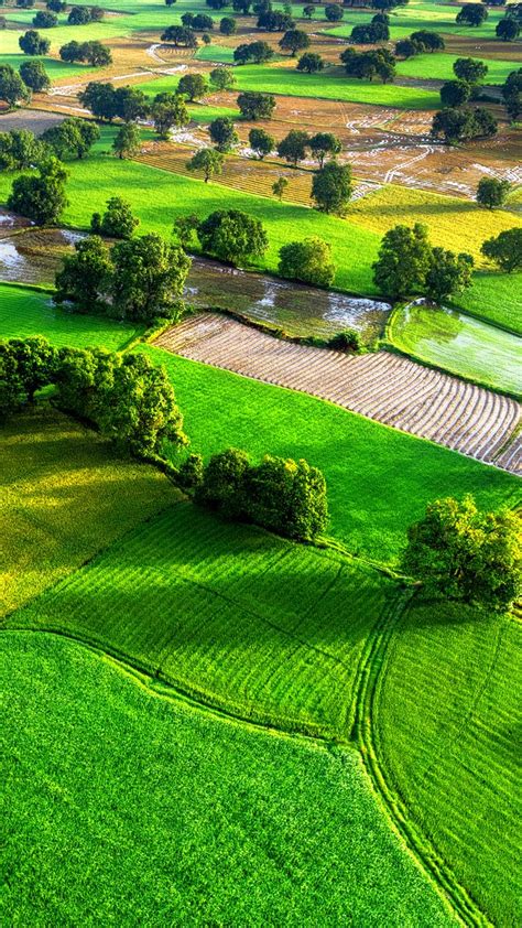 Aerial view of rice fields in Mekong Delta, Tri Ton town, An Giang ...