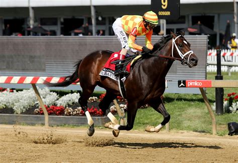 2025 Belmont Stakes Contenders: Official Entries, Top Horses | TwinSpires