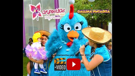 Show Infantil De La Gallina Pintadita Youtube