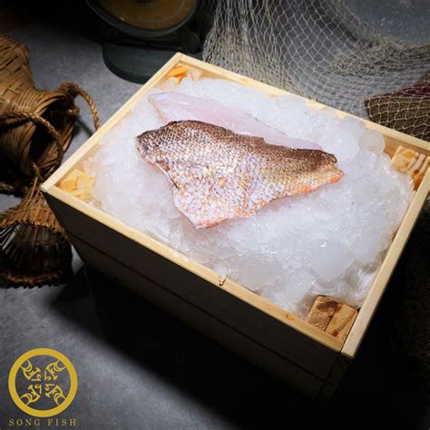 Red Snapper Fillet, Fresh 400gm – The Seafood Market Place by Song Fish