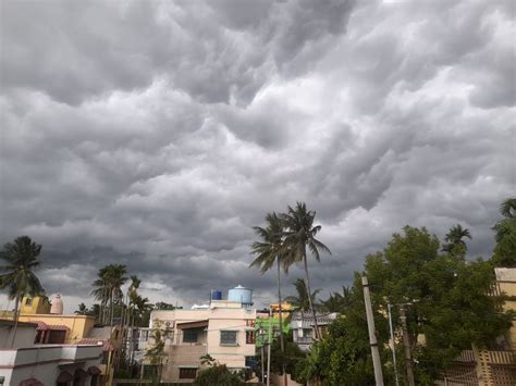 Weather Update Today হু হু করে ঢুকছে জলীয় বাষ্প সরস্বতী পুজোর দিনই হতে পারে বৃষ্টি Bengali