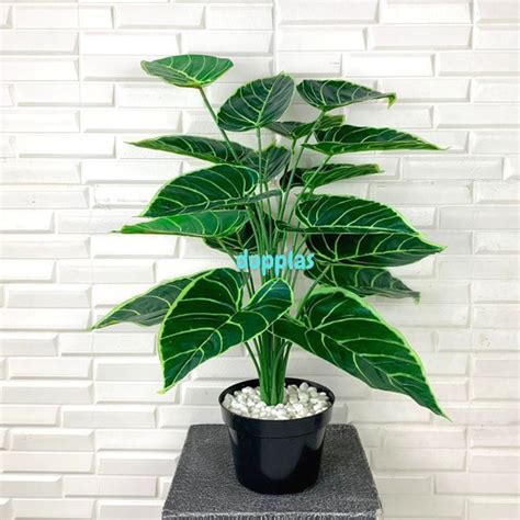 Jual Pohon Daun Alocasia X Latex Artificial Pot Dasar Hitam Plastik