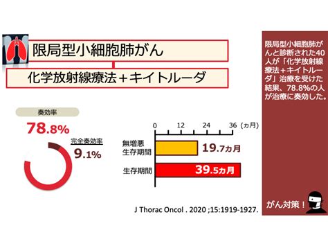 日本がん対策図鑑 【限局型小細胞肺がん】「キイトルーダ＋化学放射線療法」