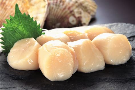 Japanese Hokkaido Xl Scallops 1kg 1020 Sashimi Grade For Cooking