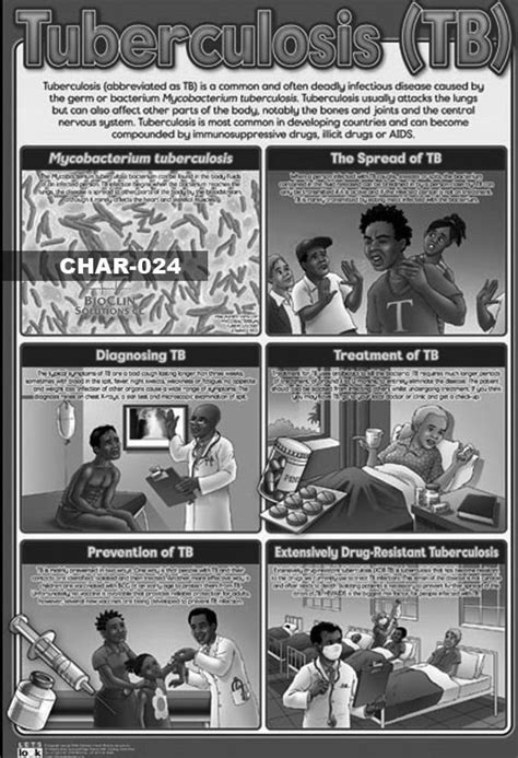 Chart X Cm Laminated Tuberculosis Bioclin Solutions