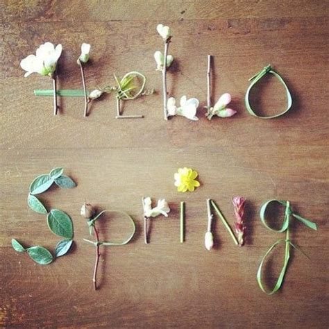 Spring Has Sprung Quotes Quotesgram