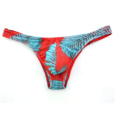 Mesh Transparent Sheer Mini Briefs Mens Thong Swimwear Super Sexy Gay Swim Underwear Tanga Pouch