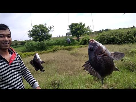 Mancing Bisa Double Strike Gini Mancing Mania Purworejo YouTube