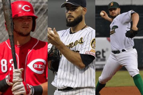 Serie Del Caribe Los Tres Peloteros Venezolanos Que Jugar N Con