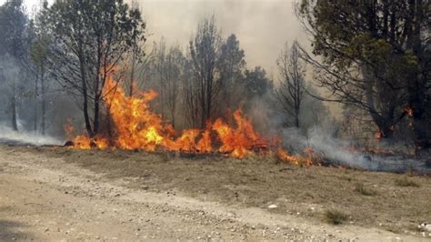 Se reinició un incendio en Capilla del Monte que se había extinguido