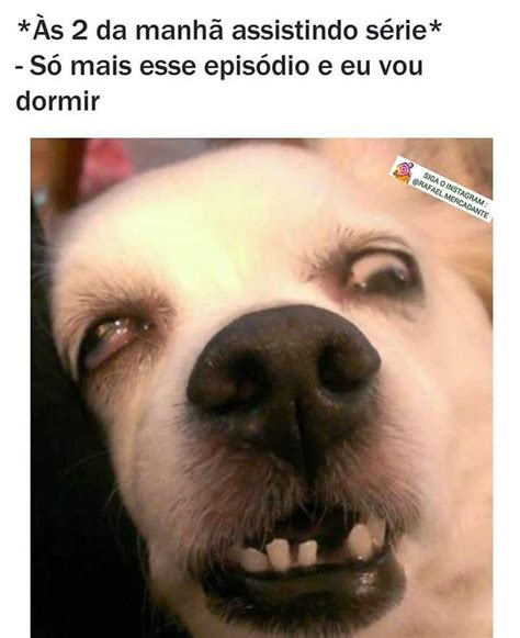 140 Memes Engraçados Para Alegrar A Sua Semana Memes Engraçados Meme