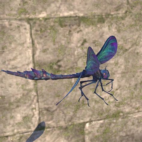 Online Sea Sapphire Dovah Fly The Unofficial Elder Scrolls Pages UESP