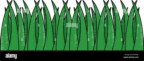 Green Grass Foliage Natural Meadow Stock Vector Image And Art Alamy