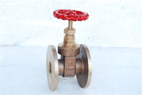 Qinn Gun Metal Gate Valve Screwed End Size Mm To Mm Rs