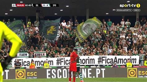 Adeptos Do Sporting Pediram Fica Amorim