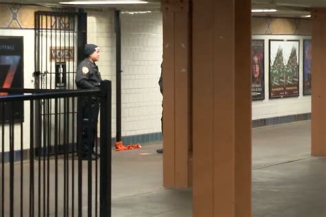 Good Samaritan Stops Sexual Assault In Brooklyn Subway Station Bathroom