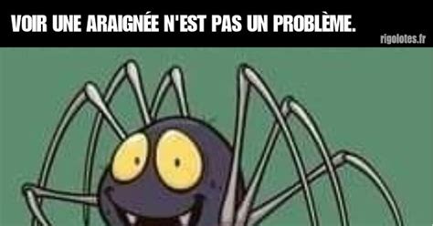 VOIR UNE ARAIGNÉE Blagues et les meilleures images drôles