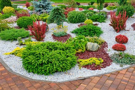 Gravel gardens: benefits, design tips, and best plants - MyGardenLife