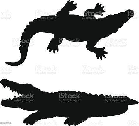 Alligator向量圖形及更多短吻鱷圖片 短吻鱷 側影 矢量圖 Istock