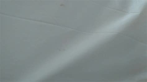 Fick Freundin Beim Duschen Free HD Porn Video XHamster