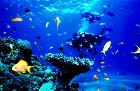 new scuba diving at Agatti Island Lakshadweep | JNR GLOBETROTTERS PVT. LTD.