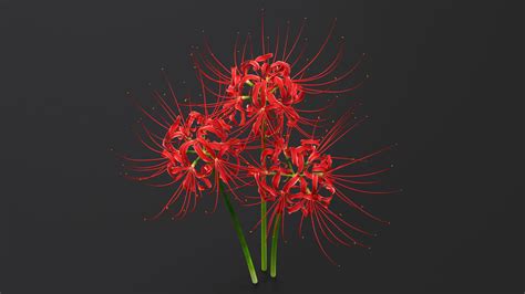 Red Flowering Plants Collection 3D Model $49 - .3ds .fbx .obj .ma .max