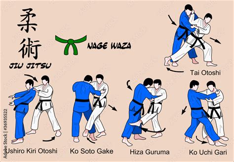 Jiu Jitsu Nage Waza 3 Color Vector De Stock Adobe Stock