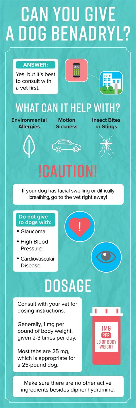 Can You Give a Dog Benadryl? | Infographic | PetMD