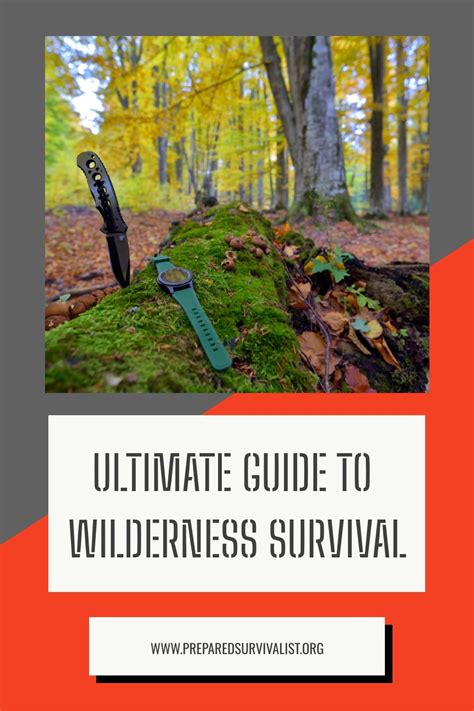 Best Bushcraft Axes For Survival A Practical Buyers Guide Artofit