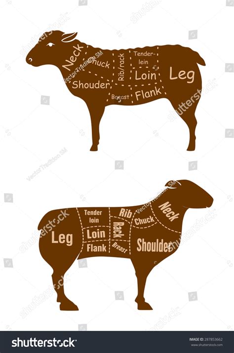 Lamb Or Mutton Butcher Cuts Detailed Diagram With Brown Silhouettes Of