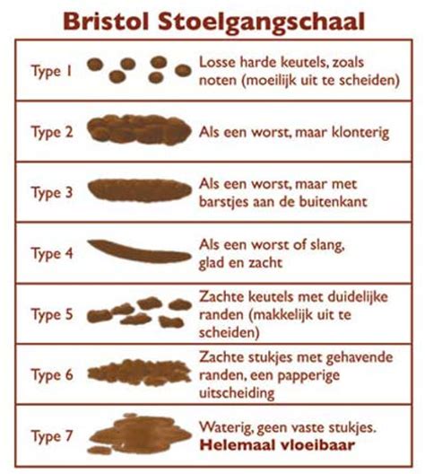 Het Belang Van Gezonde Darmen