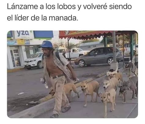 Introducir Imagen Lanzame A Los Lobos Y Volvere Liderando La Manada