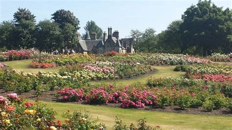 Tollcross Park Glasgow 2020 Qué Saber Antes De Ir Lo Más