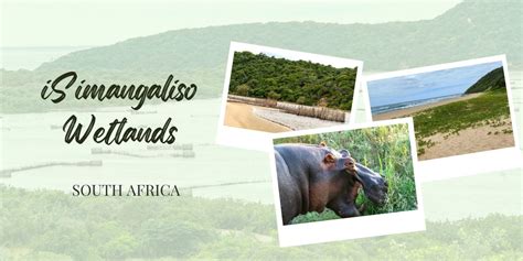 Top 16 iSimangaliso Wetland Park Activities for 2025