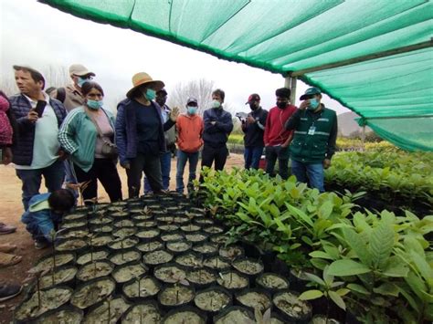 Ayacucho Senasa realizó pasantía guiada a pequeños productores de