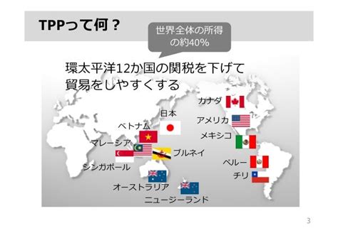 15分でわかるtpp－tppは日本を豊かにできるのか－