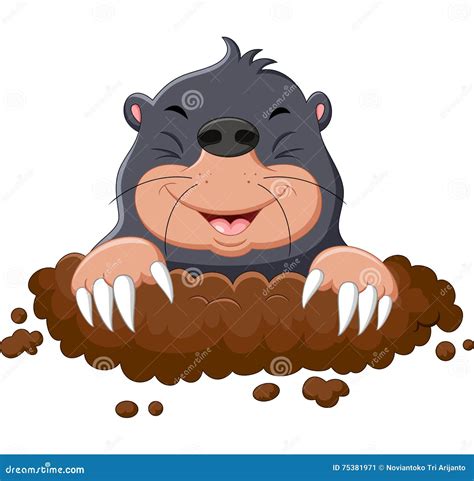 Cartoon Cute Mole Stock Vector Illustration Of Character 75381971