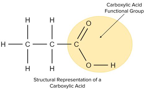 Carboxylic Acids Questions And Revision Mme