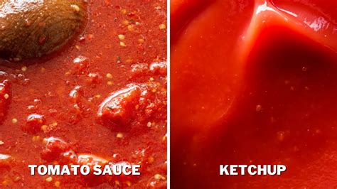 Tomato Sauce Vs Ketchup Differences Explained