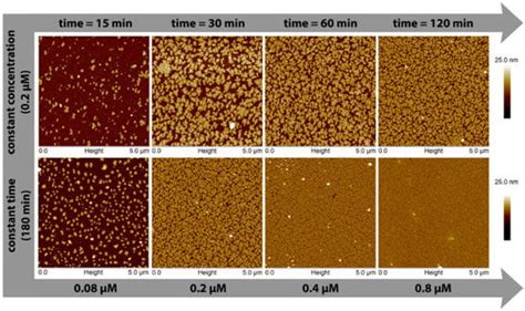 Crystals Free Full Text Morphological Investigation Of Protein