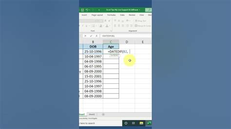 Calculate Age In Excel Excel Formula Datedif Function Shorts Youtube